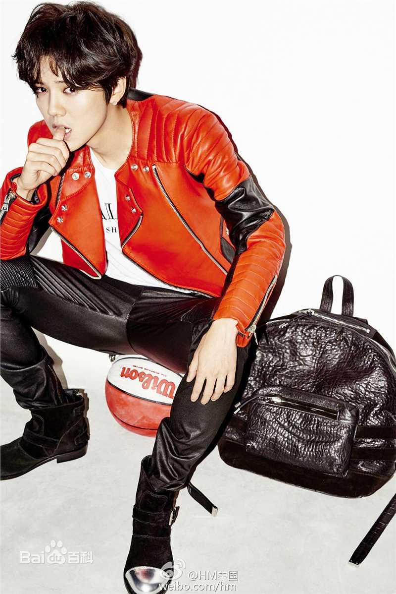 鹿晗(LUHAN)精选时尚图册