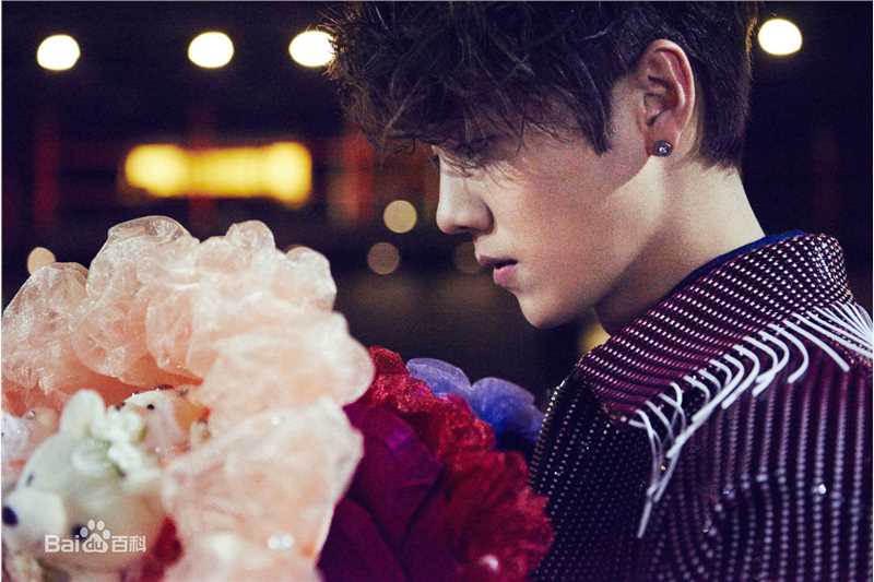 鹿晗(LUHAN)精选时尚图册