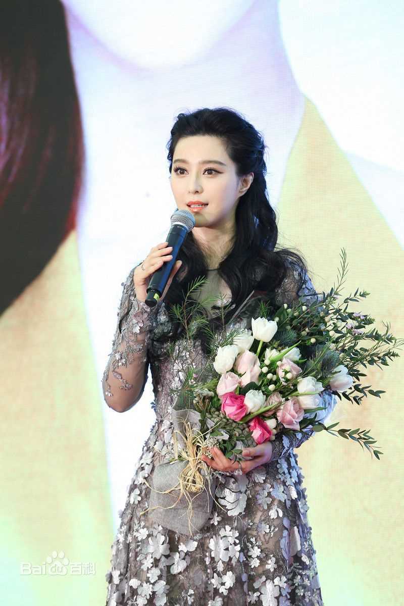 范冰冰(Fan Bingbing)活动照004图册