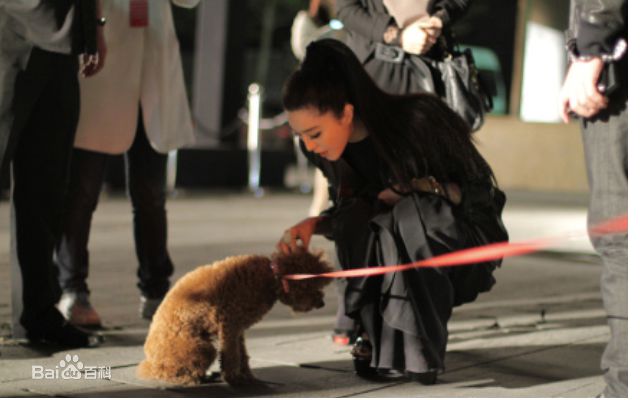 最优质范冰冰(Fan Bingbing)精彩图册2