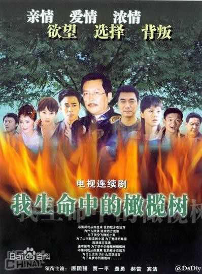 郝蕾(Hao Lei)参演影视作品高清海报照图集