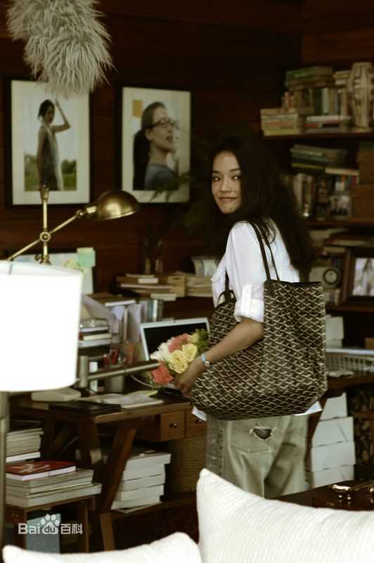 精选舒淇(Hsu Chi、Shu Qi、Hsu Kei)在《非诚勿扰》中的图册