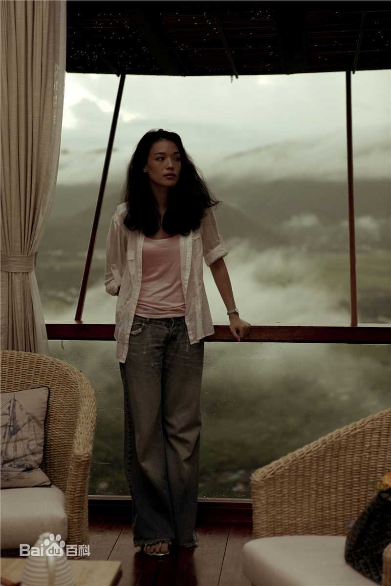 精选舒淇(Hsu Chi、Shu Qi、Hsu Kei)在《非诚勿扰》中的图册