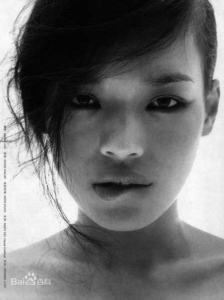 最优质舒淇(Hsu Chi、Shu Qi、Hsu Kei)精彩图册