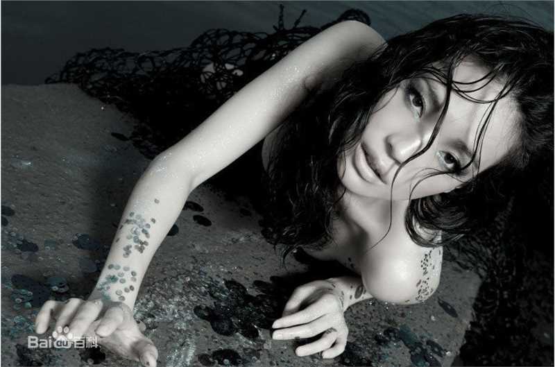 最优质舒淇(Hsu Chi、Shu Qi、Hsu Kei)精彩图册