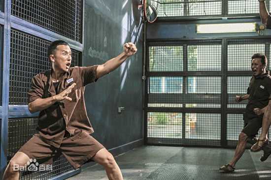 甄子丹(Donnie Yen)电影精选海报图册