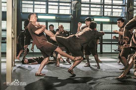 甄子丹(Donnie Yen)电影精选海报图册