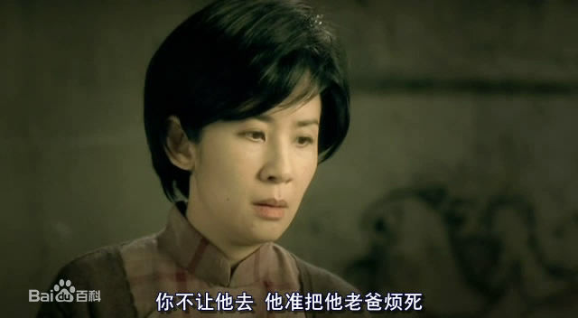 精选吴君如(Sandra Ng)在2010年《岁月神偷》中的图册