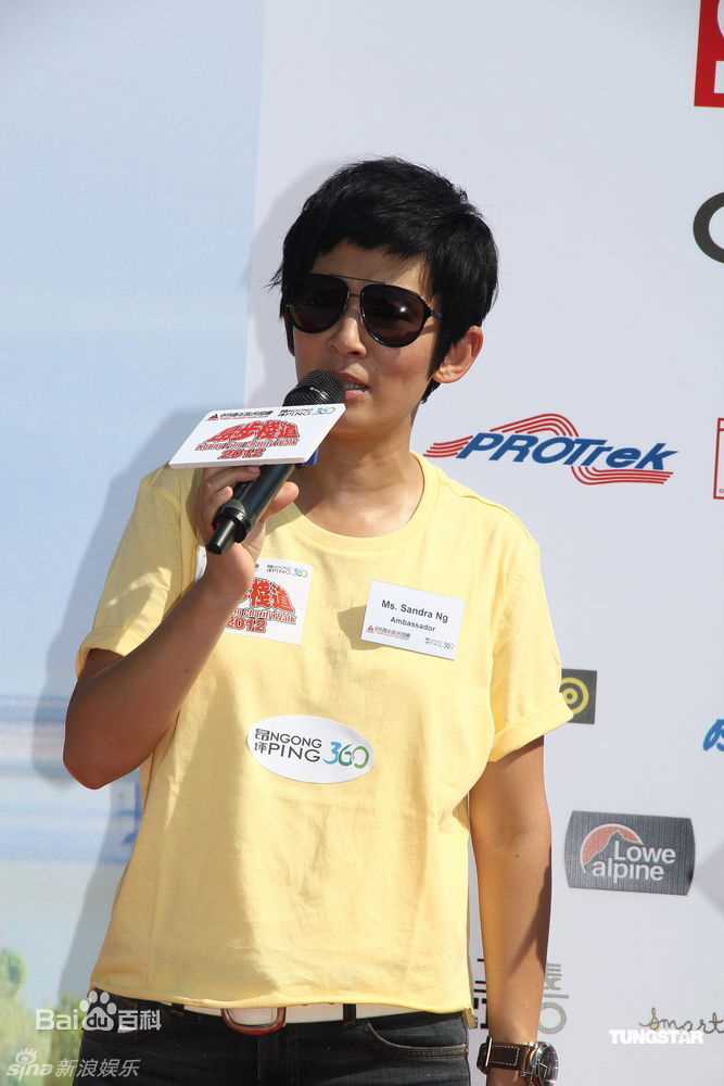 最优质吴君如(Sandra Ng)精彩图册