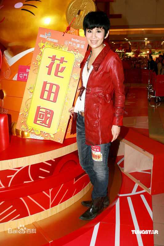 最优质吴君如(Sandra Ng)精彩图册