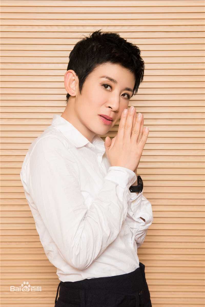 最全吴君如(Sandra Ng)壁纸