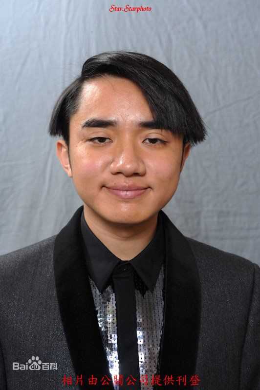 王祖蓝(Wong Cho Lam)精选海报图册