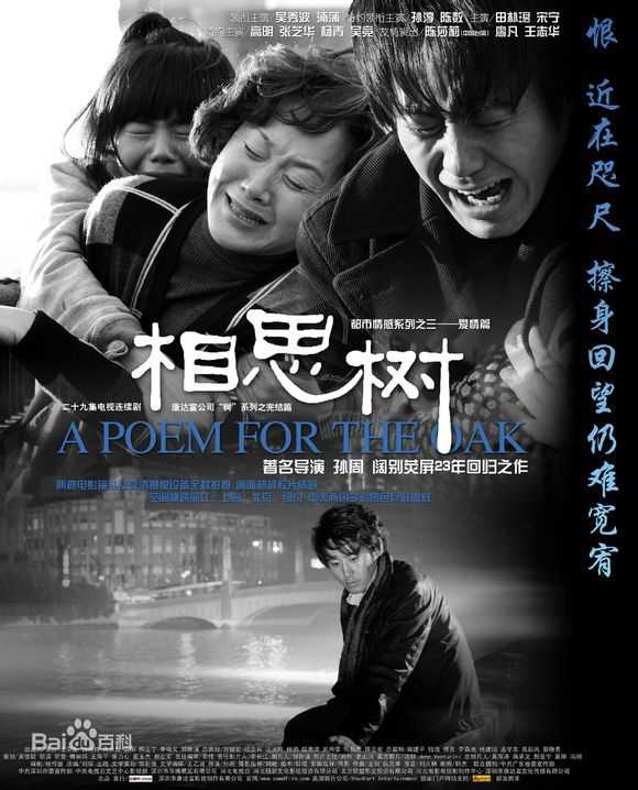 吴秀波参演影视剧海报