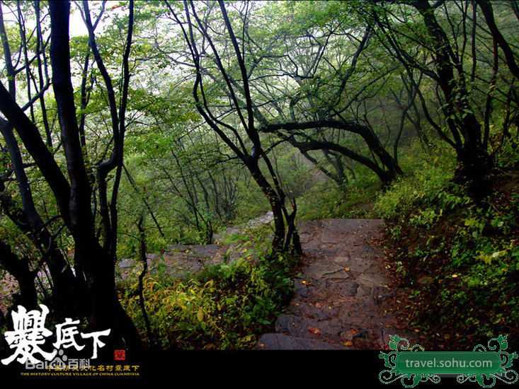 最新樊少皇(Louis Fan)精彩图册