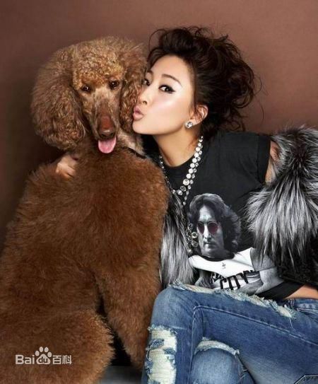 殷桃(Yin Tao)最优质 相册