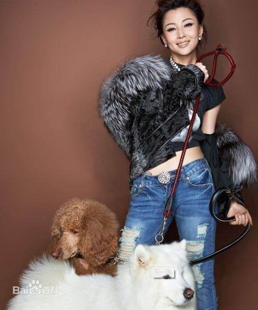 殷桃(Yin Tao)最优质 相册