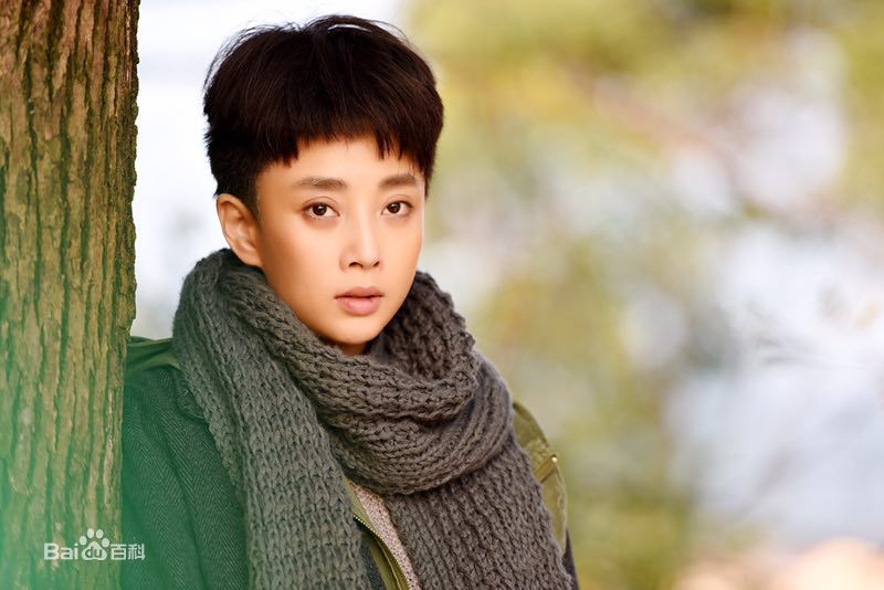 殷桃(Yin Tao)《鸡毛飞上天》精选剧照