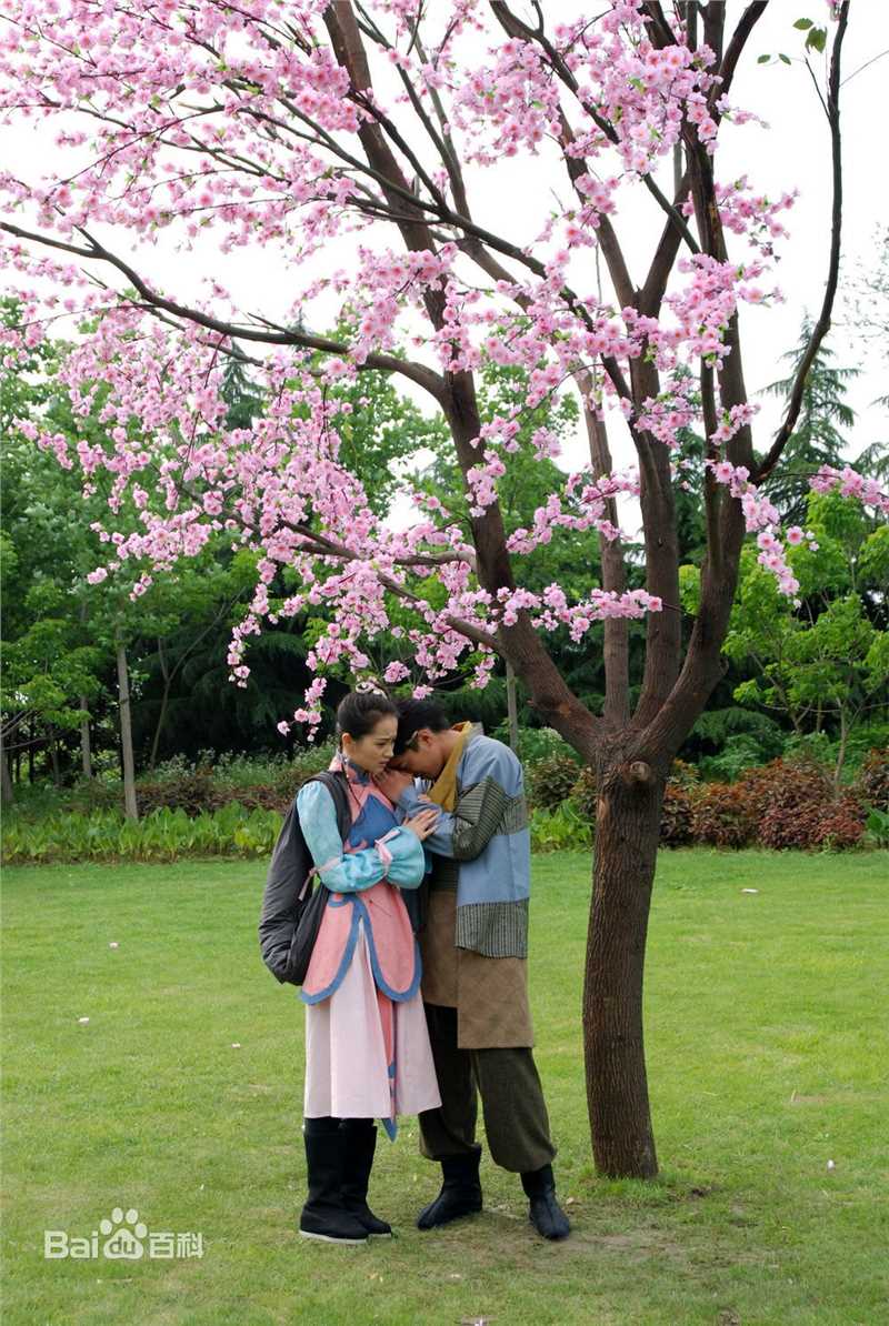 乔任梁(Kimi)2010年《春光灿烂猪九妹》最全剧照