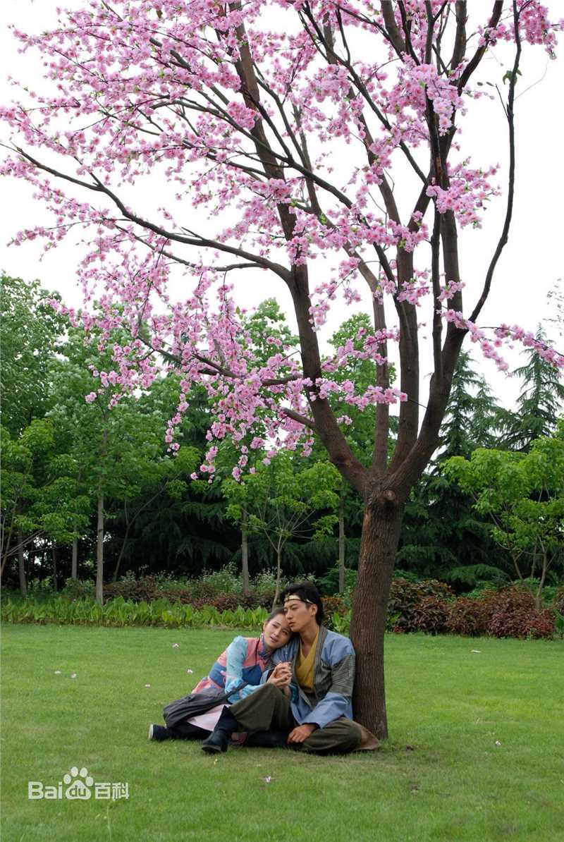 乔任梁(Kimi)2010年《春光灿烂猪九妹》最全剧照