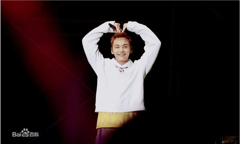 陈伟霆(William Chan)2016InsideMe巡回演唱会生活照相册