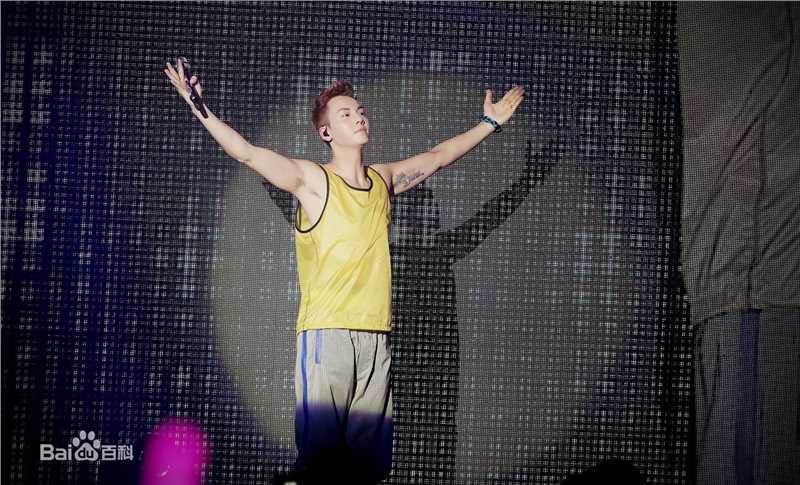 陈伟霆(William Chan)2016InsideMe巡回演唱会生活照相册