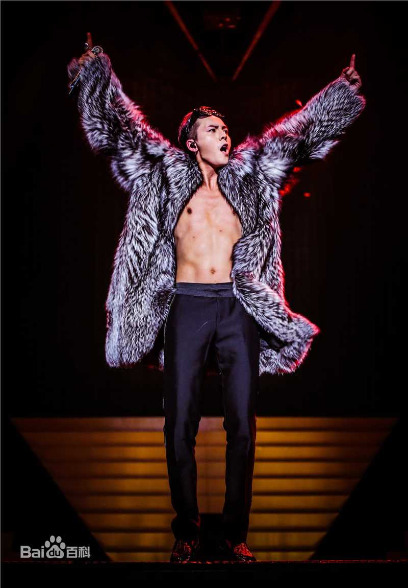 陈伟霆(William Chan)2016InsideMe巡回演唱会生活照相册