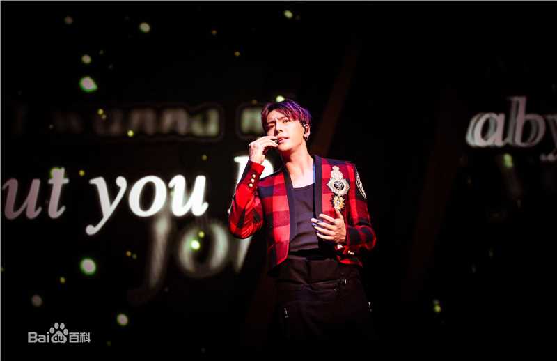 陈伟霆(William Chan)2016InsideMe巡回演唱会生活照相册