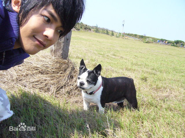 高清汪东城(Jiro Wang)精彩图册