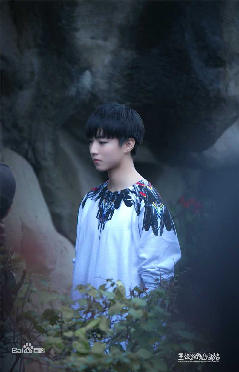 王俊凯(Karry)影视剧照