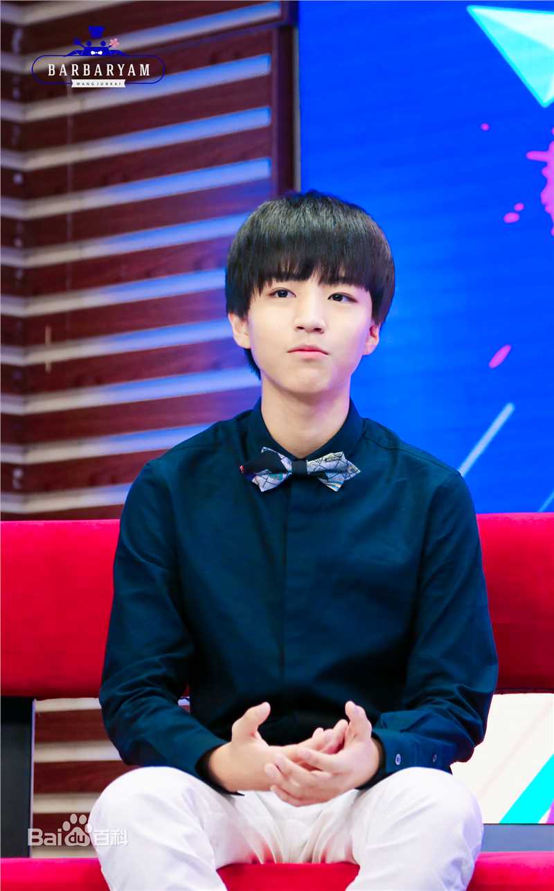 王俊凯(Karry)吉尼斯世界纪录素颜照相册