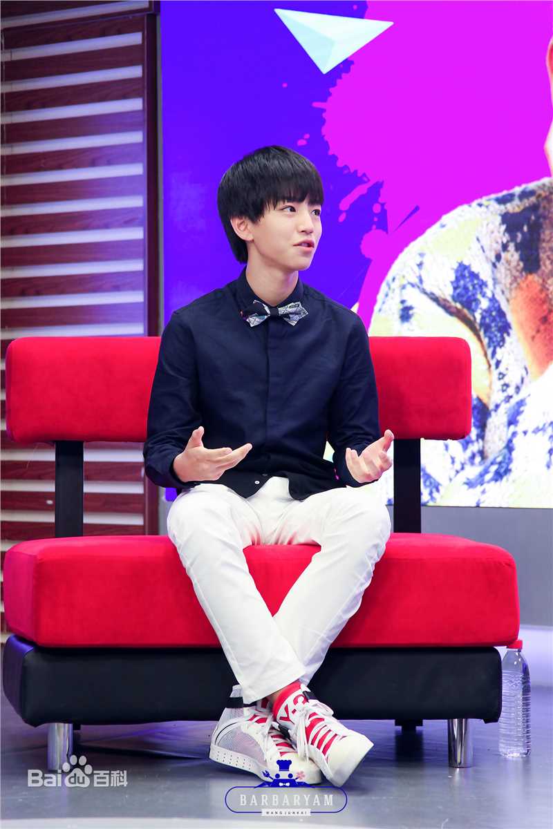 王俊凯(Karry)吉尼斯世界纪录素颜照相册