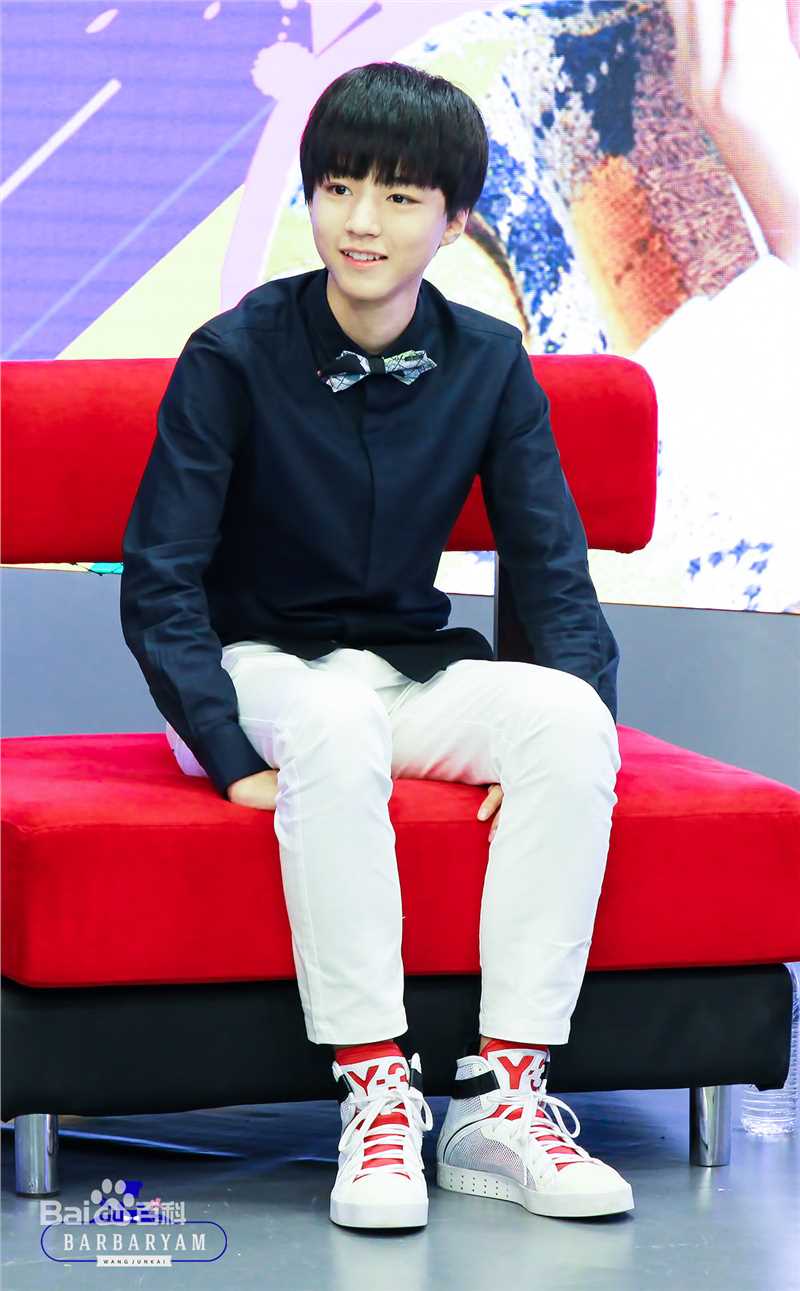 王俊凯(Karry)吉尼斯世界纪录素颜照相册