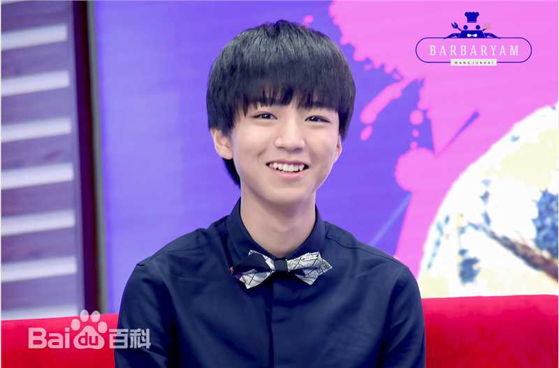 王俊凯(Karry)吉尼斯世界纪录素颜照相册