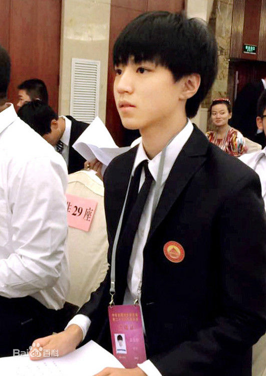 王俊凯(Karry)全国学生联合会第26次代表大会壁纸壁纸