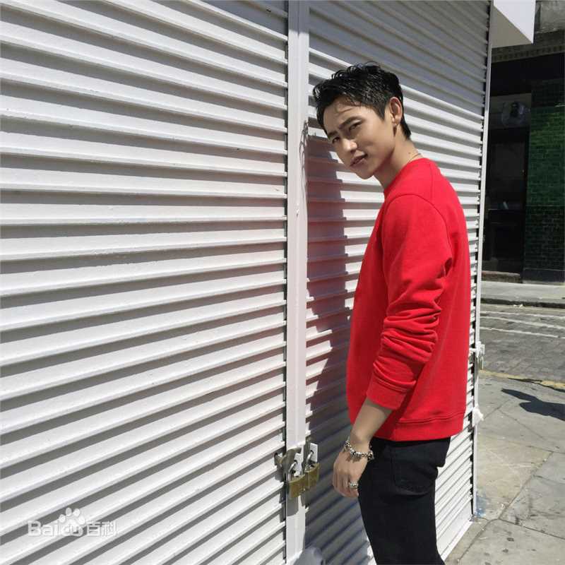 魏晨(Vision Wei)伦敦街拍生活照相册