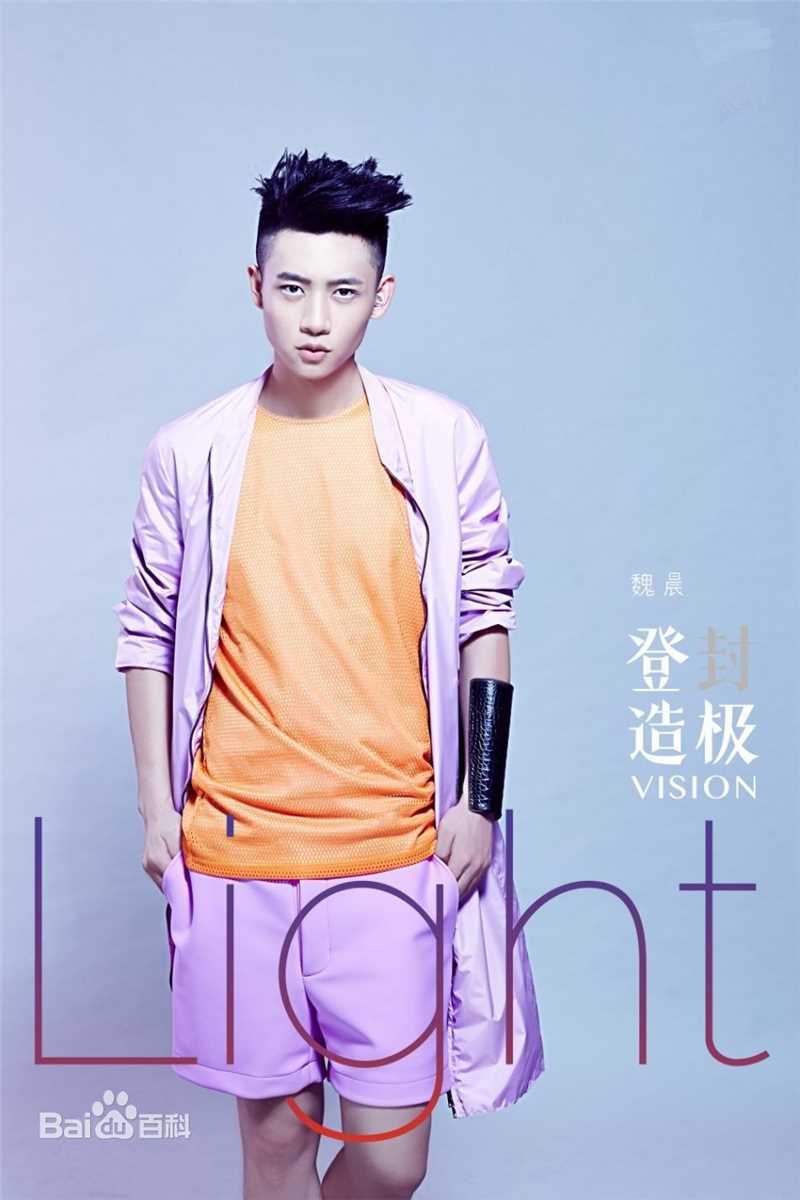 魏晨(Vision Wei)在2013专辑《登”封“造极》中的