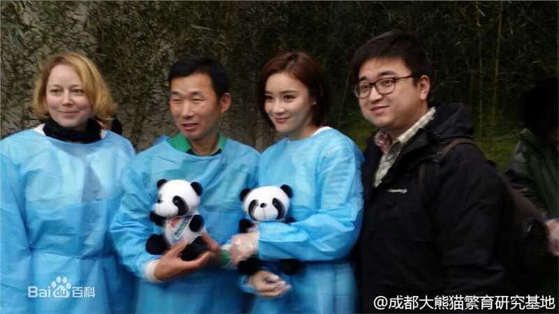 袁姗姗(Mabel Yuan)联合国开发署熊猫大使全球征名暨熊猫使者全球招募启动仪式壁纸壁纸