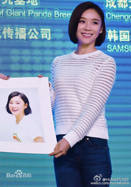 袁姗姗(Mabel Yuan)联合国开发署熊猫大使全球征名暨熊猫使者全球招募启动仪式壁纸壁纸