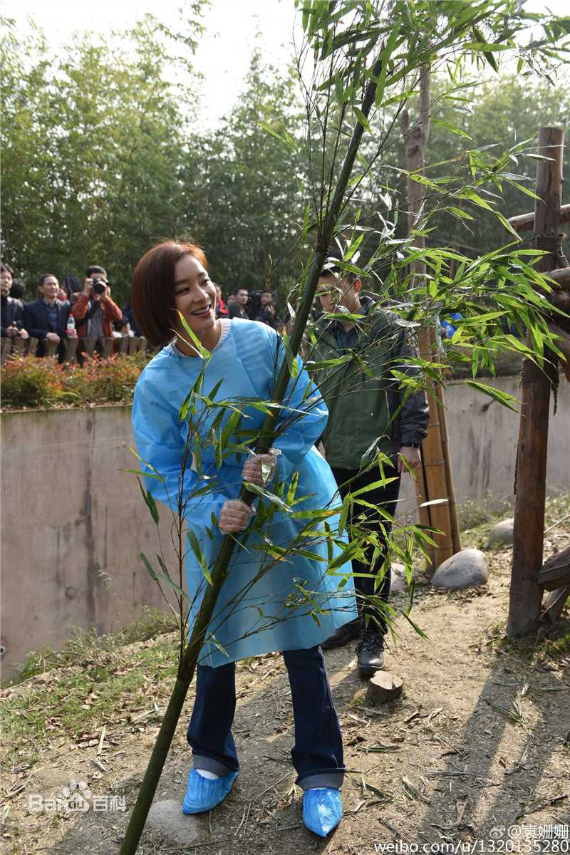 袁姗姗(Mabel Yuan)联合国开发署熊猫大使全球征名暨熊猫使者全球招募启动仪式壁纸壁纸
