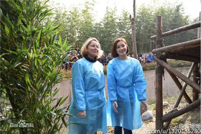 袁姗姗(Mabel Yuan)联合国开发署熊猫大使全球征名暨熊猫使者全球招募启动仪式壁纸壁纸