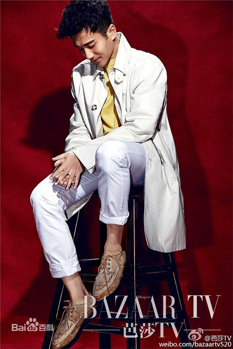 刘恺威(Hawick Lau,Lau Hoi Wai)时尚芭莎图片图集