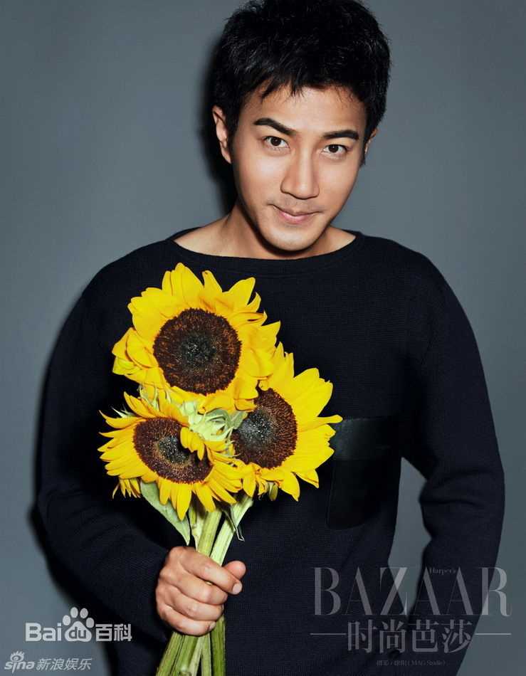 刘恺威(Hawick Lau,Lau Hoi Wai)时尚芭莎图片图集