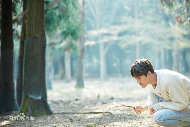 最新马天宇(Ray Ma)在《我本浪人》中的壁纸