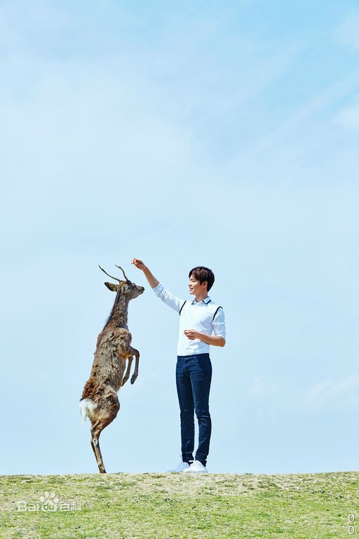 最新马天宇(Ray Ma)在《我本浪人》中的壁纸