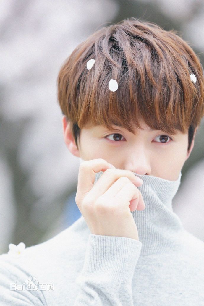 最新马天宇(Ray Ma)在《我本浪人》中的壁纸