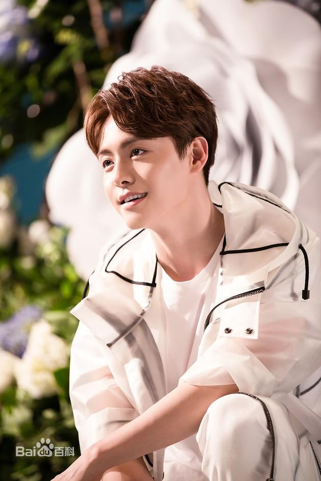 马天宇(Ray Ma)手花素颜照相册