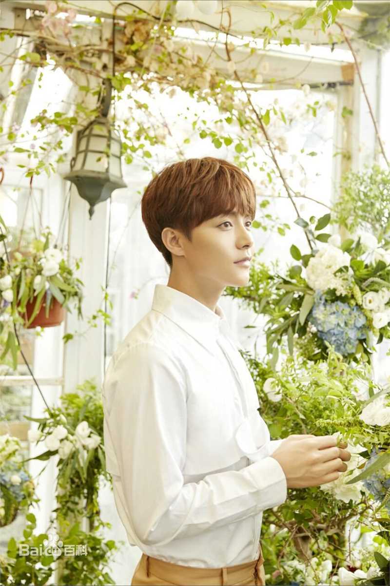 马天宇(Ray Ma)手花素颜照相册