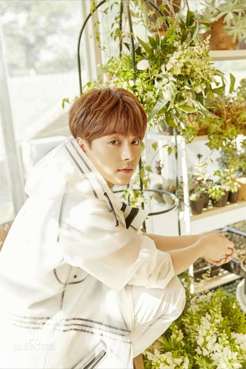 马天宇(Ray Ma)手花素颜照相册