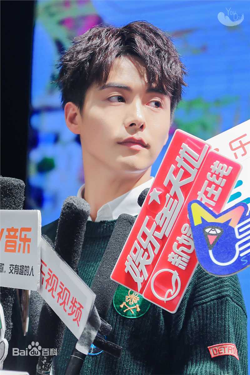 马天宇(Ray Ma)手花发布会壁纸壁纸