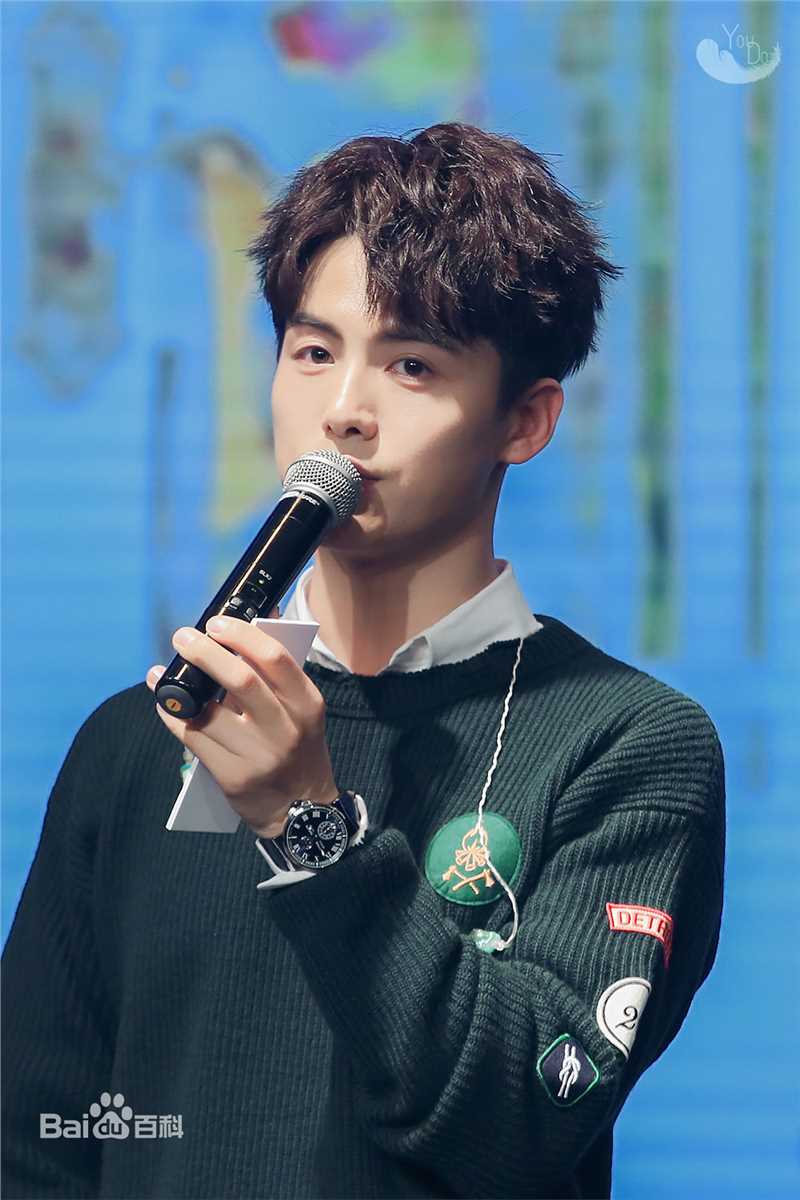 马天宇(Ray Ma)手花发布会壁纸壁纸